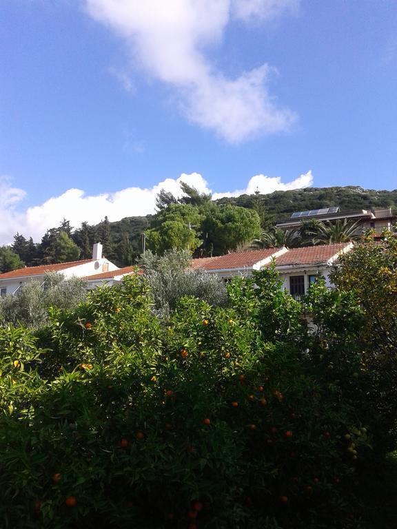 Aggelos Kefalonia Lassi Lassi  Ngoại thất bức ảnh